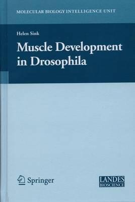 Muscle Development in Drosophilia - Helen Sink - cover