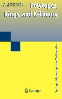 Polytopes, Rings, and K-Theory - Winfried Bruns,Joseph Gubeladze - cover