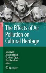 The Effects of Air Pollution on Cultural Heritage