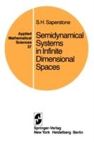 Semidynamical Systems in Infinite Dimensional Spaces - Stephen H. Saperstone - cover