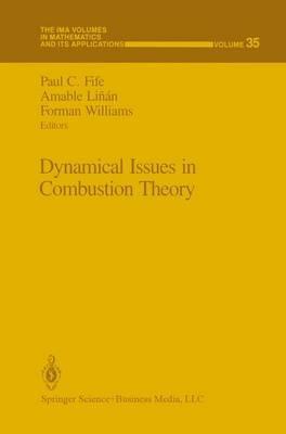 Dynamical Issues in Combustion Theory - cover