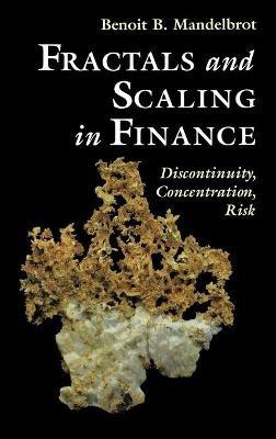 Fractals and Scaling in Finance: Discontinuity, Concentration, Risk. Selecta Volume E - Benoit B. Mandelbrot - cover