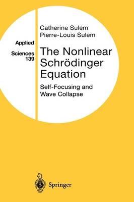 The Nonlinear Schrödinger Equation: Self-Focusing and Wave Collapse - Catherine Sulem,Pierre-Louis Sulem - cover