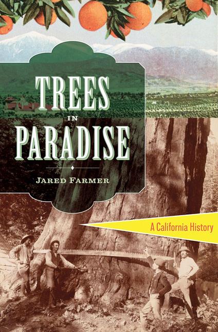 Trees in Paradise
