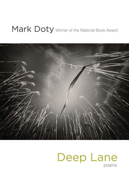 Deep Lane