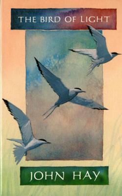 The Bird of Light - John Hay - cover