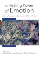 The Healing Power of Emotion: Affective Neuroscience, Development & Clinical Practice - cover
