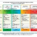 Autonomic Nervous System Table: Wall Poster