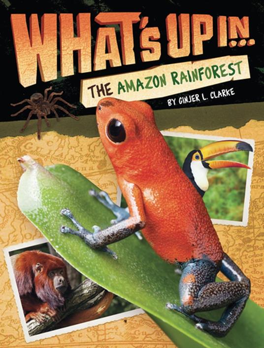 What's Up in the Amazon Rainforest - Ginjer L. Clarke - ebook