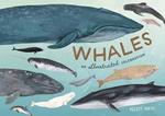 Whales: An Illustrated Celebration