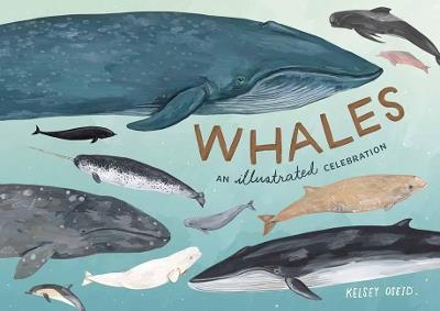 Whales: An Illustrated Celebration - Kelsey Oseid - cover