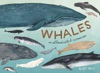 Whales: An Illustrated Celebration - Kelsey Oseid - cover