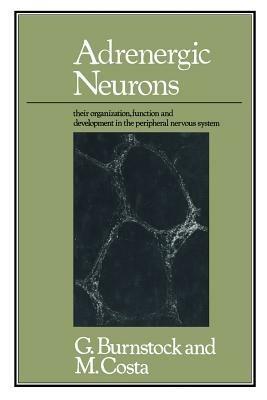 Adrenergic Neurons: Their Organization, Function and Development in the Peripheral Nervous System - Geoffrey Burnstock and Marcello Costa - cover
