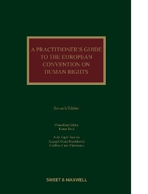 A Practitioner's Guide to the European Convention on Human Rights - Karen Reid,Guillem Cano Palomares,Aida Grgic Boulais - cover