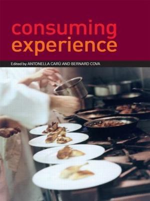Consuming Experience - cover