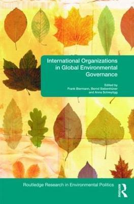 International Organizations in Global Environmental Governance - cover