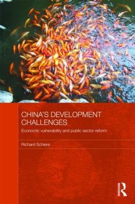 China's Development Challenges: Economic Vulnerability and Public Sector Reform - Richard Schiere - cover
