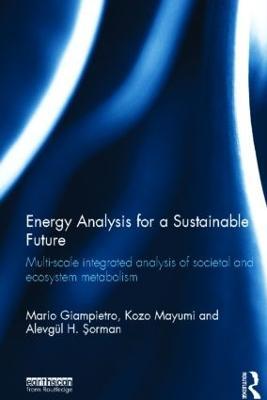 Energy Analysis for a Sustainable Future: Multi-Scale Integrated Analysis of Societal and Ecosystem Metabolism - Mario Giampietro,Kozo Mayumi,Alevgül Sorman - cover