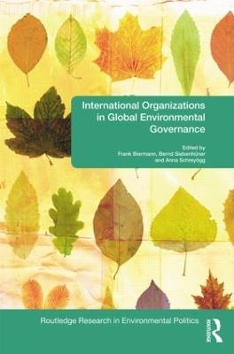 International Organizations in Global Environmental Governance - cover
