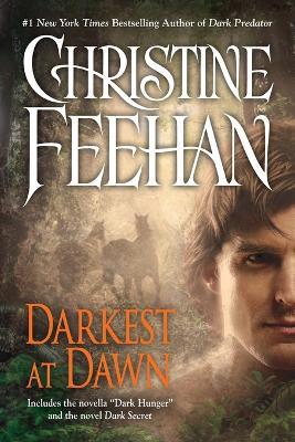 Darkest at Dawn - Christine Feehan - cover