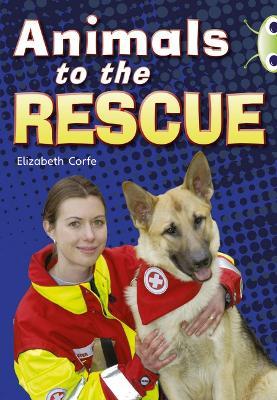 Bug Club Guided Non Fiction Year 2 Gold B Animals to the Rescue - Elizabeth Corfe - cover