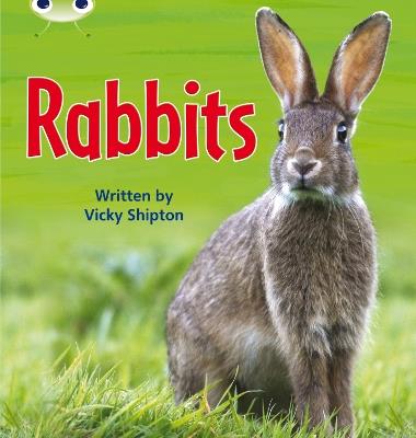 Bug Club Phonics - Phase 5 Unit 27: Rabbits - Vicky Shipton - cover