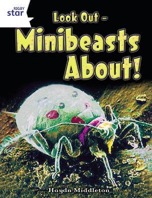 Rigby Star Independent Year 2 Non Fiction: Tiny Creatures - cover