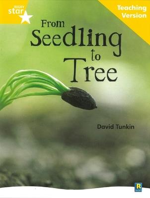 Rigby Star Non-fiction Guided Reading Yellow Level: From Seedling to Tree Teaching Version - cover