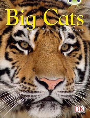BC NF Brown B/3B Big Cats - Sarah Walker - cover