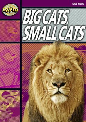 Rapid Reading: Big Cats Small Cats (Stage 1, Level 1A) - Dee Reid - cover