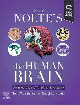 Nolte's The Human Brain: An Introduction to its Functional Anatomy - Todd W. Vanderah,Douglas J. Gould - cover
