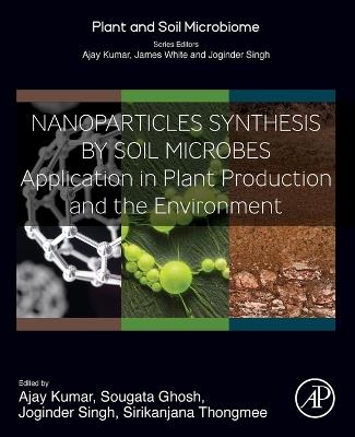 Nanoparticles Synthesis by Soil Microbes: Application in Plant Production and the Environment - cover