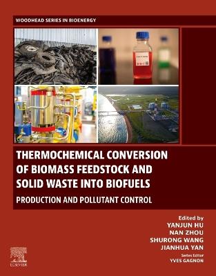 Thermochemical Conversion of Biomass Feedstock and Solid Waste into Biofuels: Production and Pollutant Control - cover