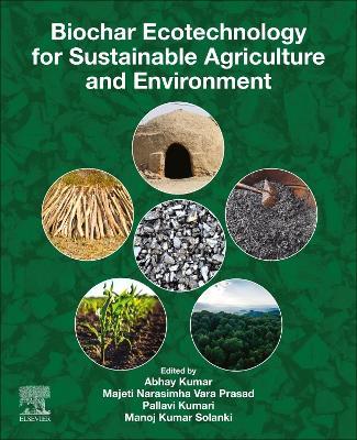 Biochar Ecotechnology for Sustainable Agriculture and Environment - cover