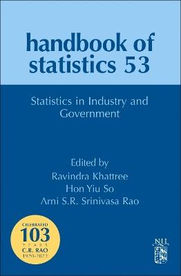 Statistics in Industry and Government - cover