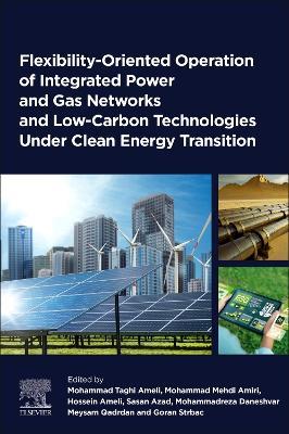 Flexibility-Oriented Operation of Integrated Power and Gas Networks and Low-Carbon Technologies Under Clean Energy Transition - cover
