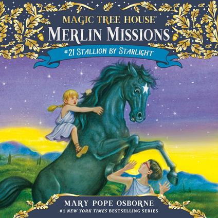 Stallion by Starlight