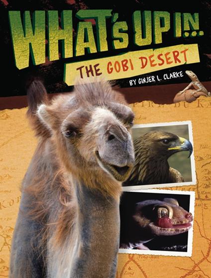 What's Up in the Gobi Desert - Ginjer L. Clarke - ebook