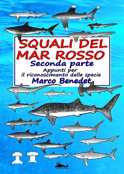 Squali del Mar Rosso 2a parte - Le specie - Marco Benedet - ebook