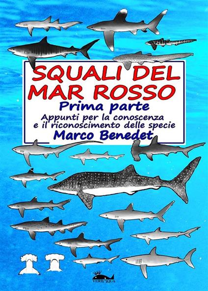Squali del Mar Rosso: 1a parte - Marco Benedet - ebook