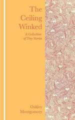 The Ceiling Winked: A Collection of Tiny Stories