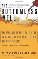 The Bottomless Well: The Twilight of Fuel, the Virtue of Waste, and Why We Will Never Run Out of Energy