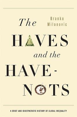 The Haves and the Have-Nots: A Brief and Idiosyncratic History of Global Inequality - Branko Milanovic - cover