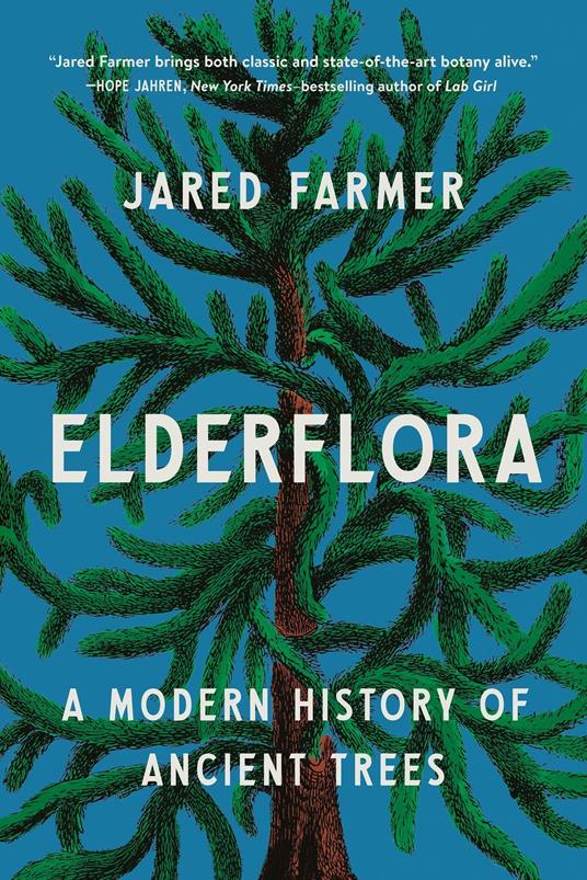 Elderflora