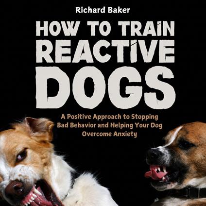 How to Train Reactive Dogs