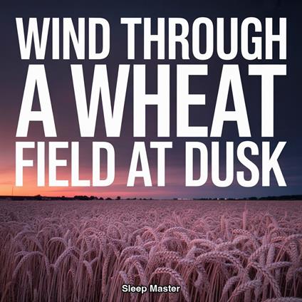 Wind Through a Wheat Field at Dusk