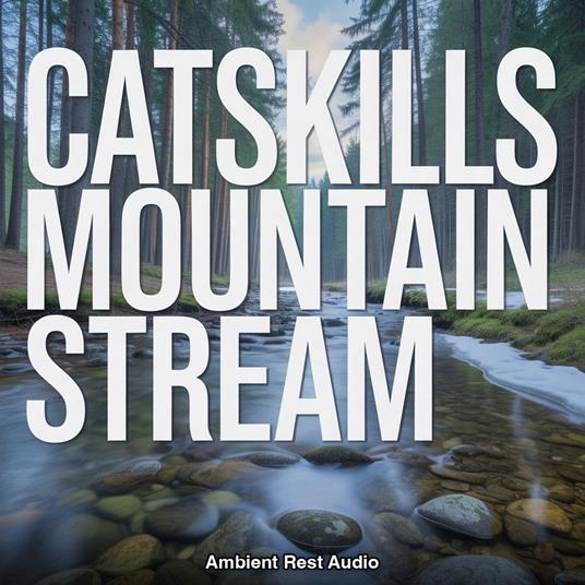 Catskills Mountain Stream