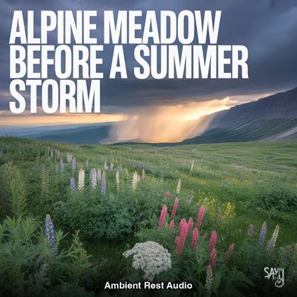 Alpine Meadow Before a Summer Storm