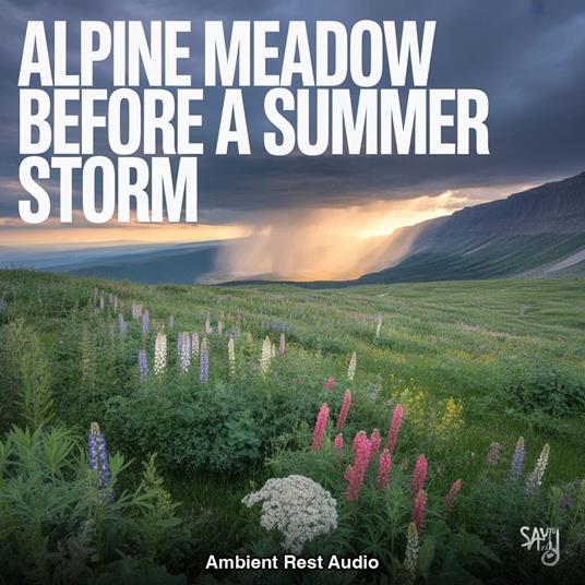 Alpine Meadow Before a Summer Storm