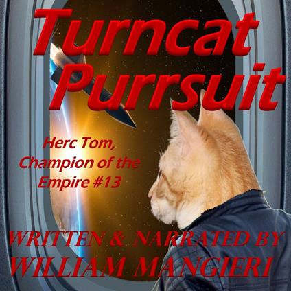 Turncat Purrsuit
